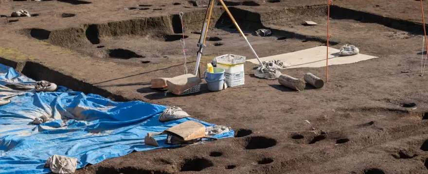 試掘・発掘調査